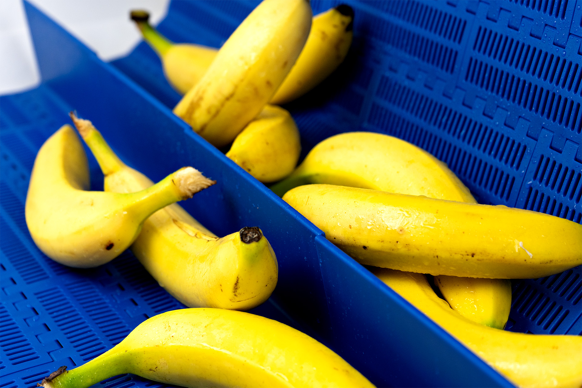 Movex Modularna traka za prehrambenu industriju