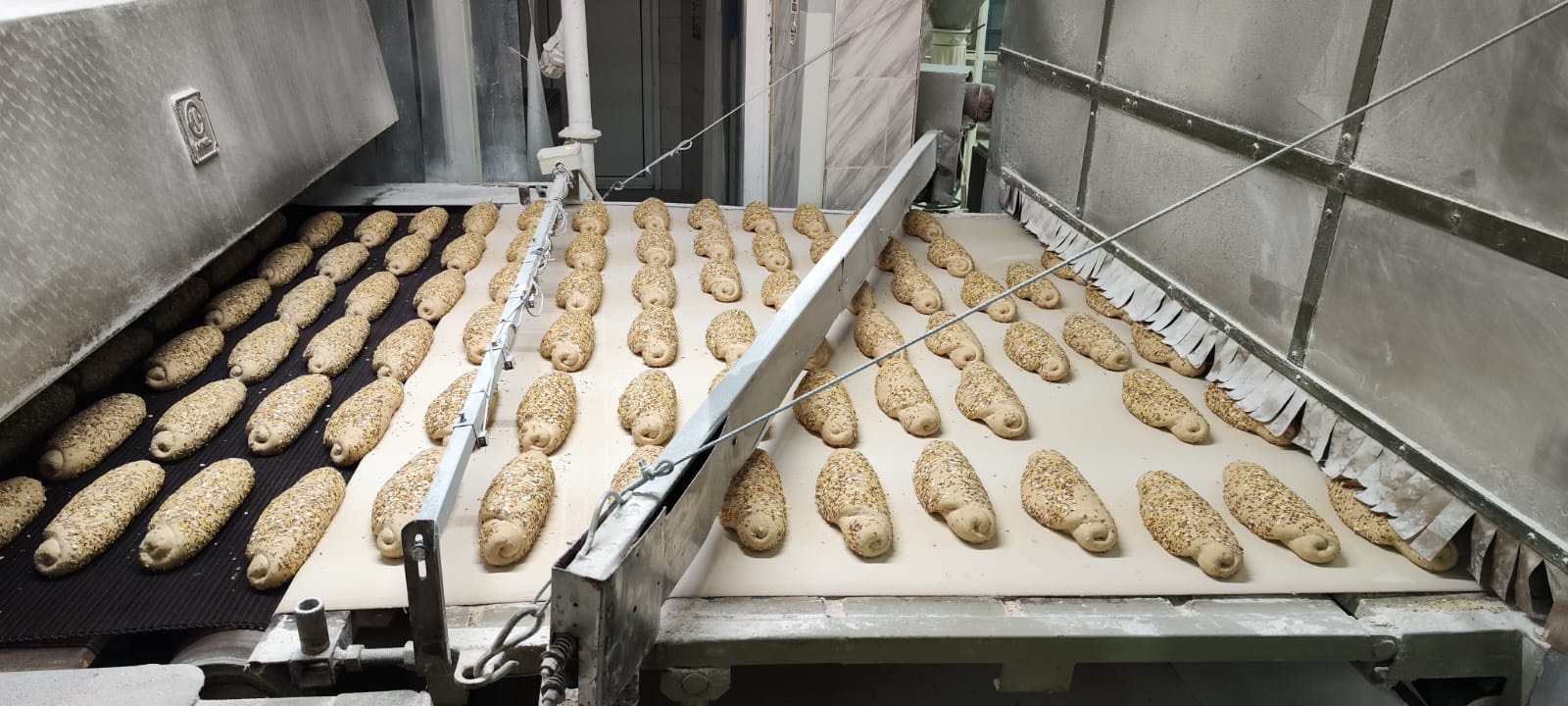 MDA+ transportnatrakazamostfermentacionekomore